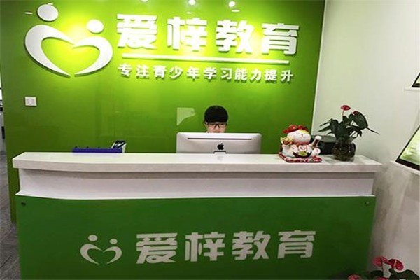 爱梓教育右脑开发